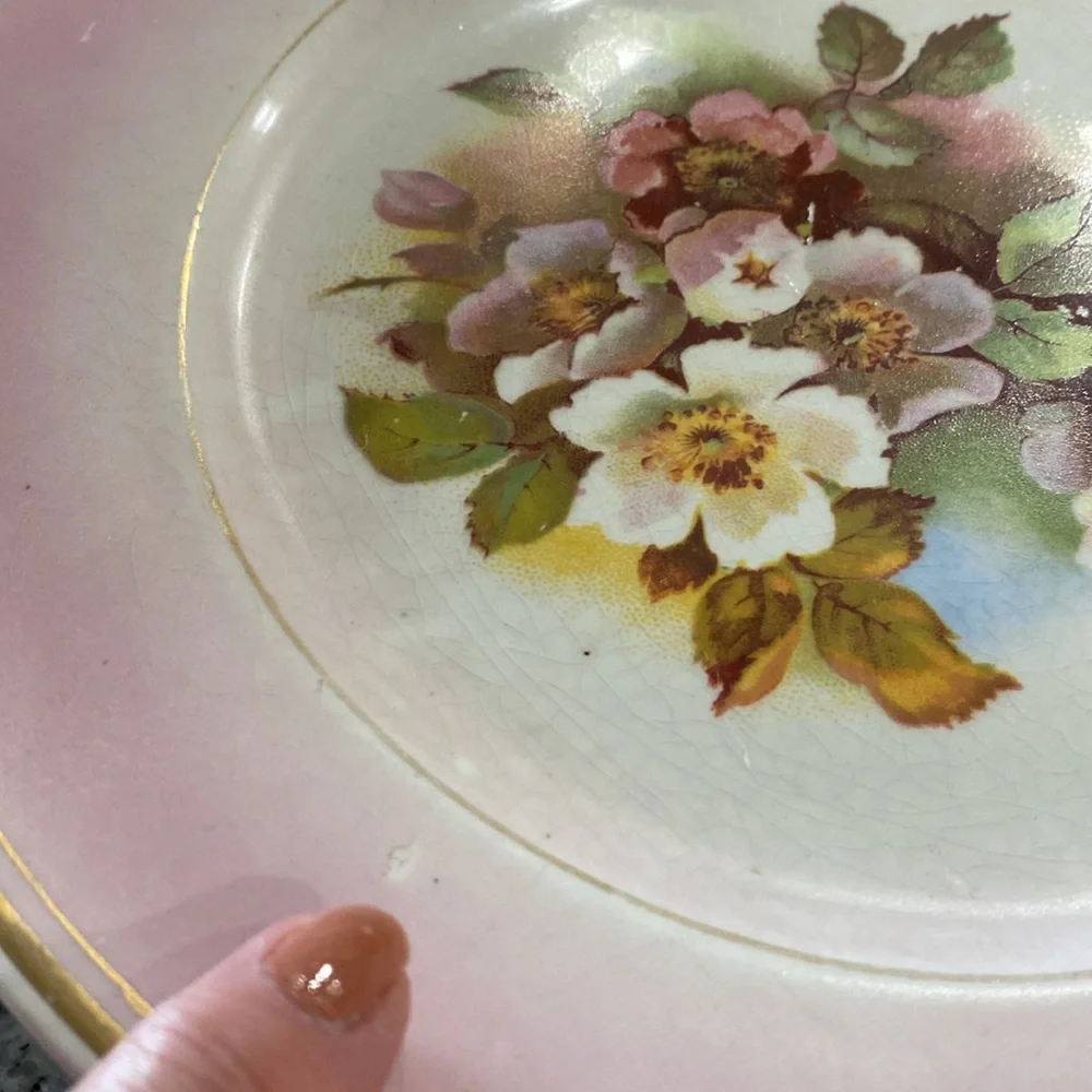 Antique Harker Pottery Co. Semi-Porcelain Wild Rose Plate c. 1890-1910!